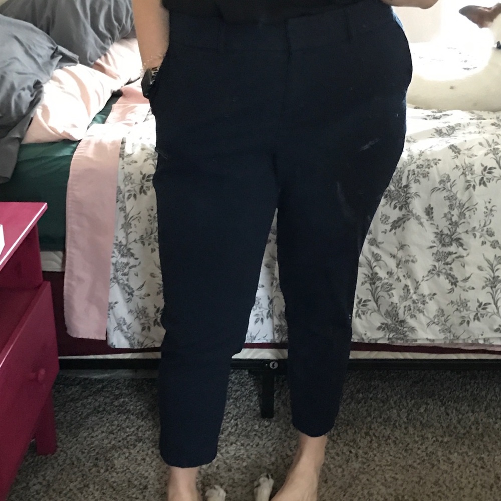 Navy Polka Dot Cropped LOFT Trousers